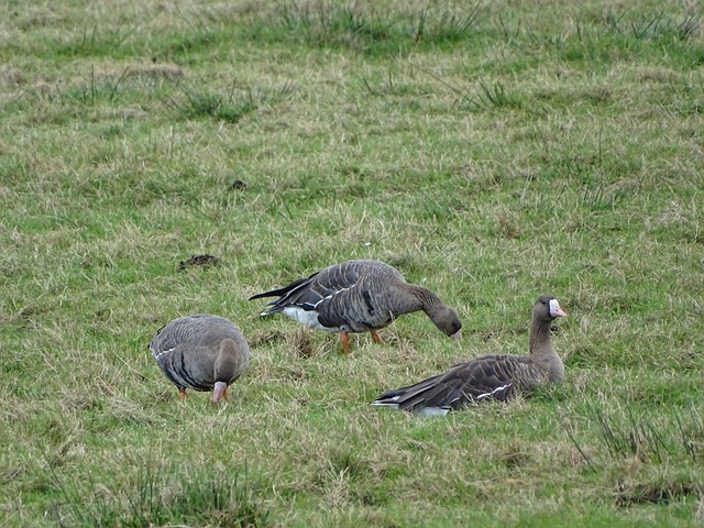 中通过快速 中通过快速